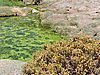 DSCN8682.JPG