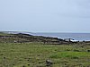 DSCN8847.JPG