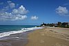 DSC07989.JPG