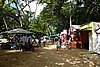 DSC07996.JPG