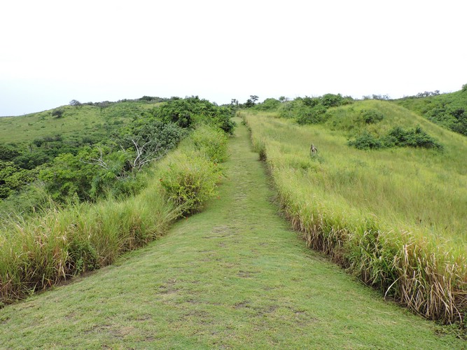 DSCN2928.JPG