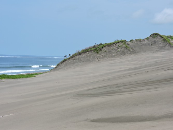 DSCN2956.JPG