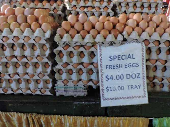 DSCN3083.JPG