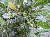 DSCN3056.JPG
