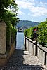 DSC08725.JPG