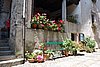 DSC08739.JPG