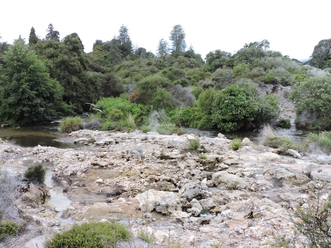 DSCN3797.JPG