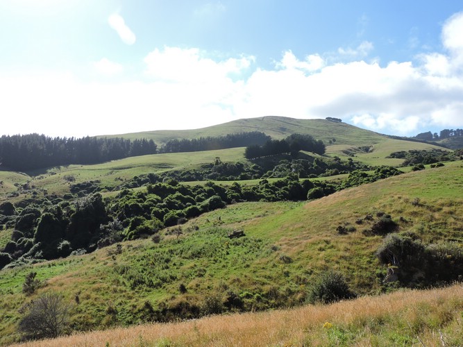 DSCN4011.JPG