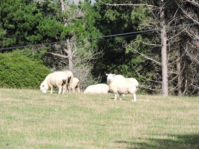 DSCN4014.JPG