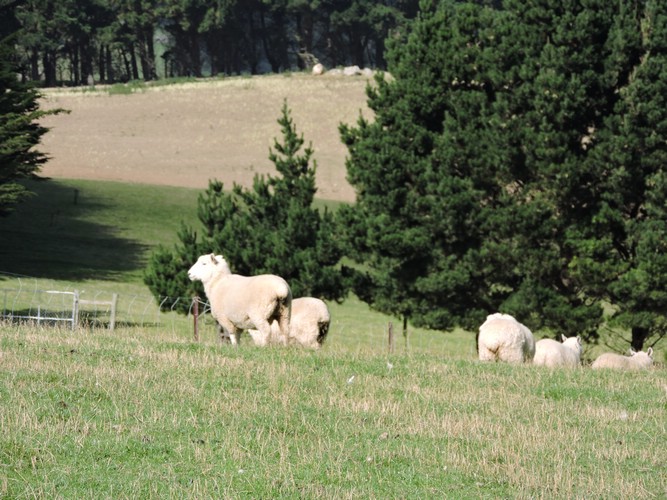 DSCN4015.JPG