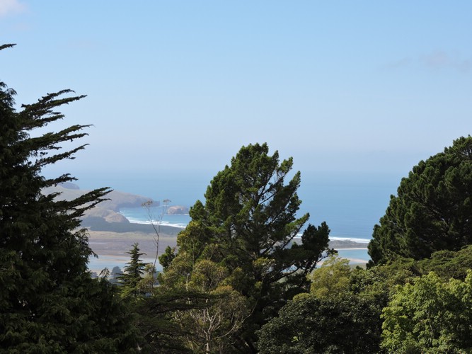 DSCN4050.JPG