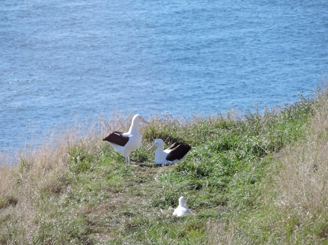 DSCN4060.JPG