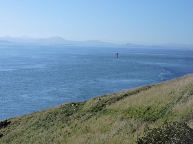 DSCN4072.JPG