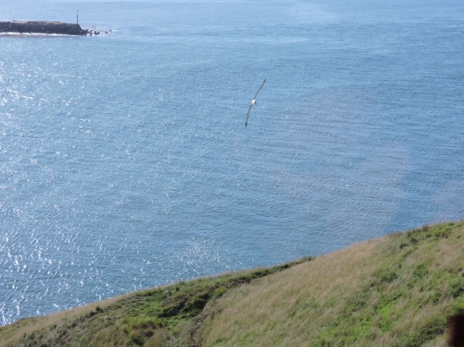 DSCN4082.JPG