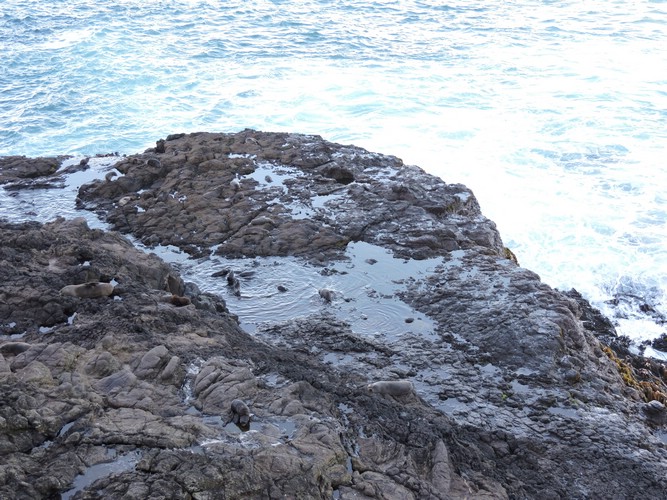 DSCN4088.JPG