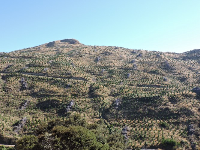 DSCN4214.JPG