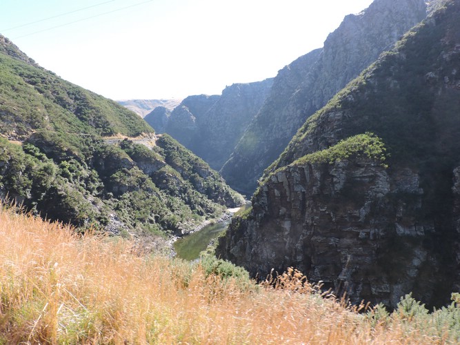 DSCN4231.JPG