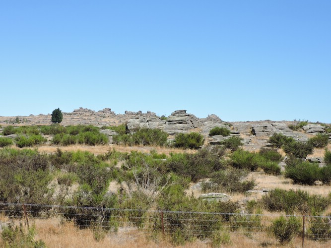 DSCN4252.JPG