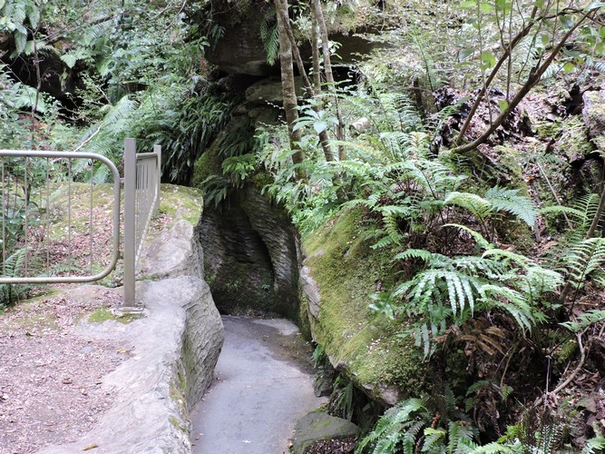 DSCN4277.JPG