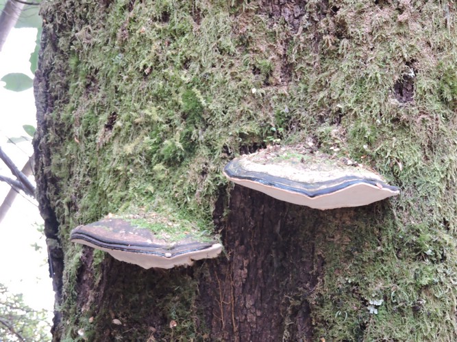 DSCN4280.JPG