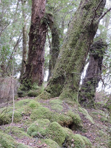 DSCN4281.JPG