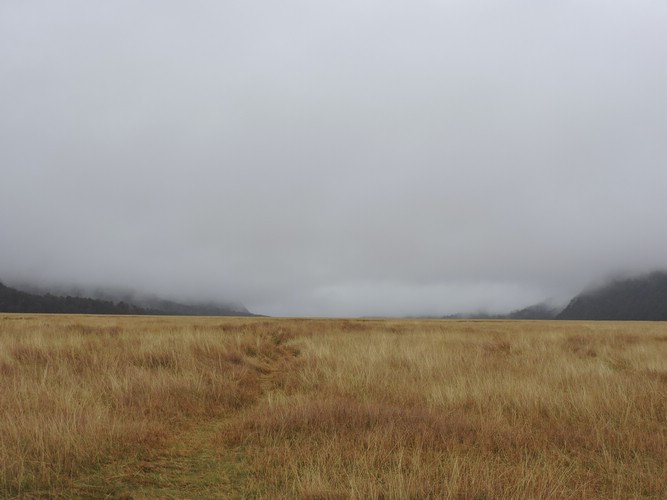 DSCN4294.JPG