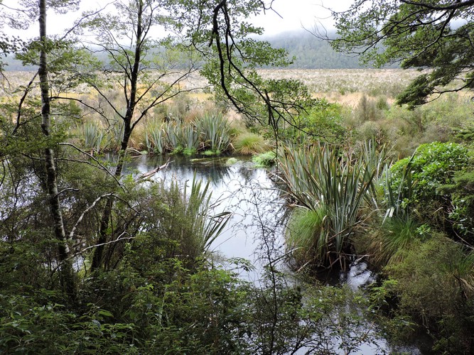 DSCN4301.JPG
