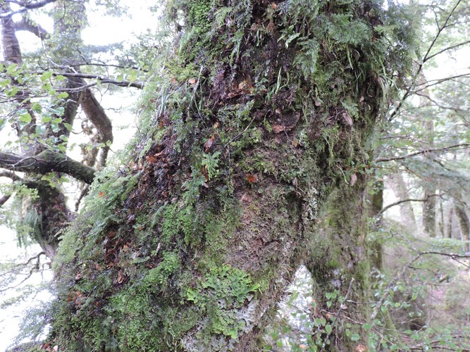 DSCN4302.JPG