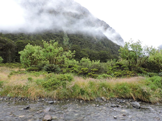DSCN4309.JPG