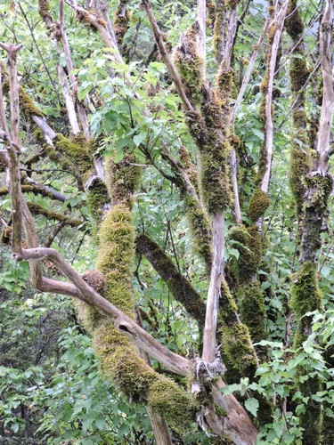 DSCN4310.JPG