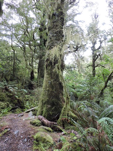 DSCN4318.JPG
