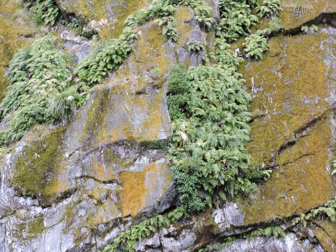 DSCN4351.JPG