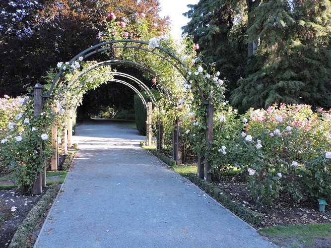 DSCN4597.JPG