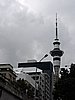 DSCN3623.JPG