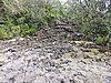 DSCN3691.JPG