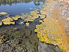 DSCN3768.JPG
