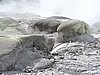 DSCN3806.JPG