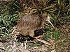 DSCN3909.JPG