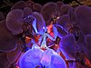 DSCN3924.JPG