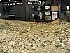 DSCN3957.JPG