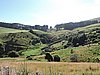 DSCN4010.JPG