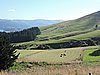 DSCN4013.JPG