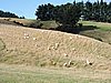DSCN4016.JPG