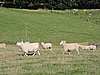 DSCN4017.JPG