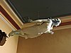 DSCN4040.JPG