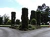 DSCN4055.JPG