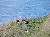 DSCN4060.JPG