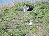 DSCN4070.JPG