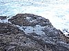 DSCN4088.JPG