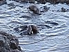 DSCN4089.JPG